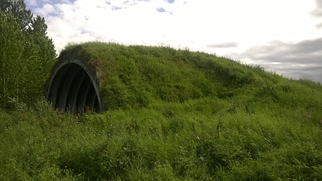 Old hanger, completely covered in thick grass, the sky is overcast and trees are to the left of it