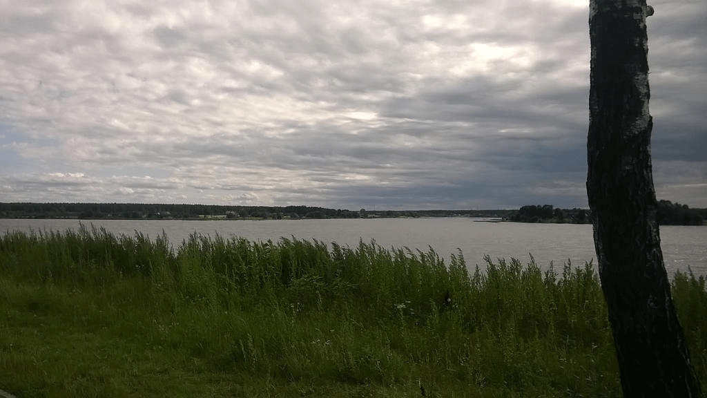 Daugava, with the grass long and the sky overcast