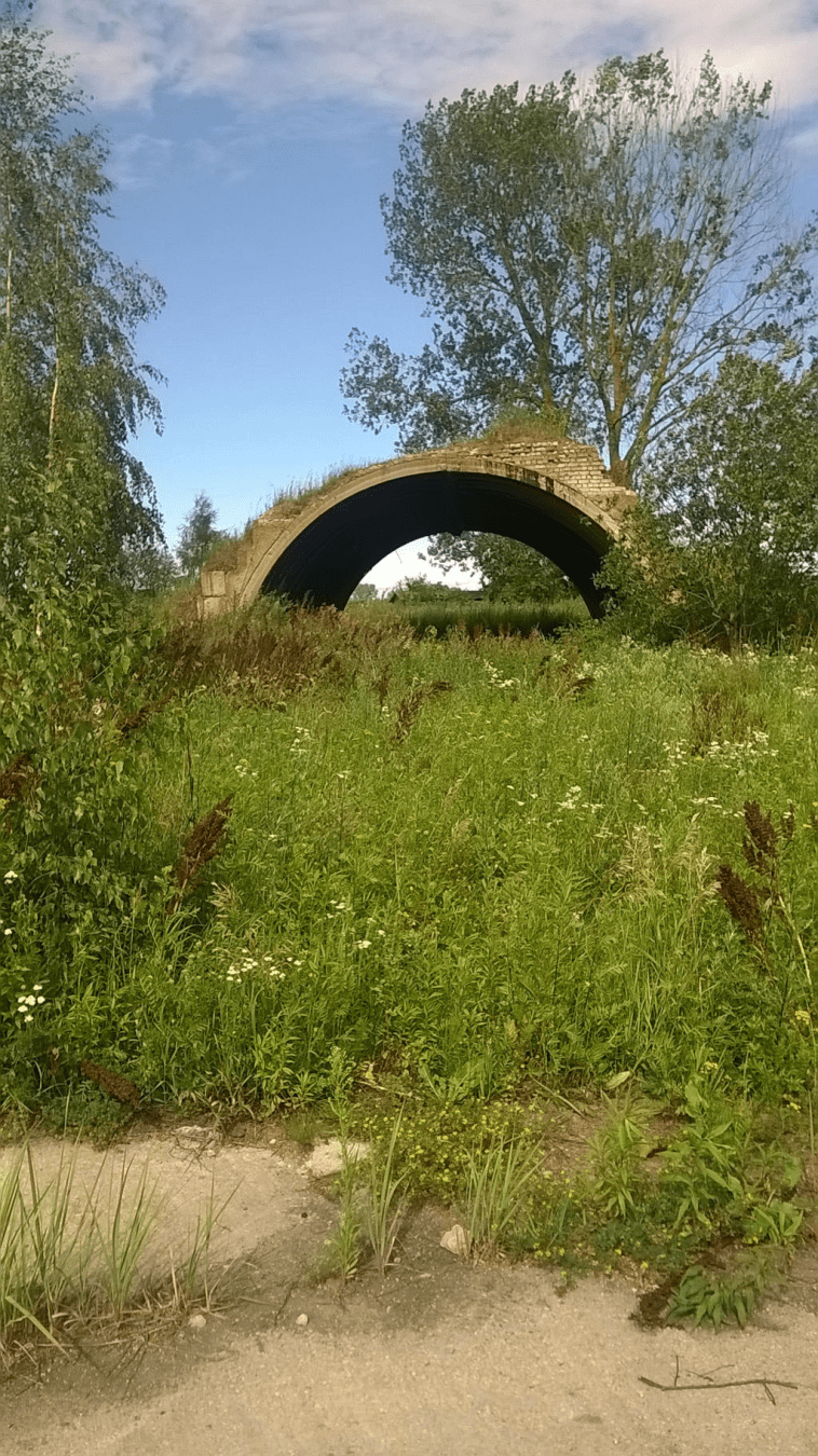 Overgrown hanger, the grass and sand damaging the material, with lush grass fully engulfing it