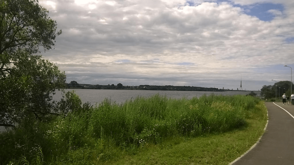 Photo of the Daugava, with tall grass between the river and the Promenade, in the distance the Riga TV Tower just visible, the sky overcast