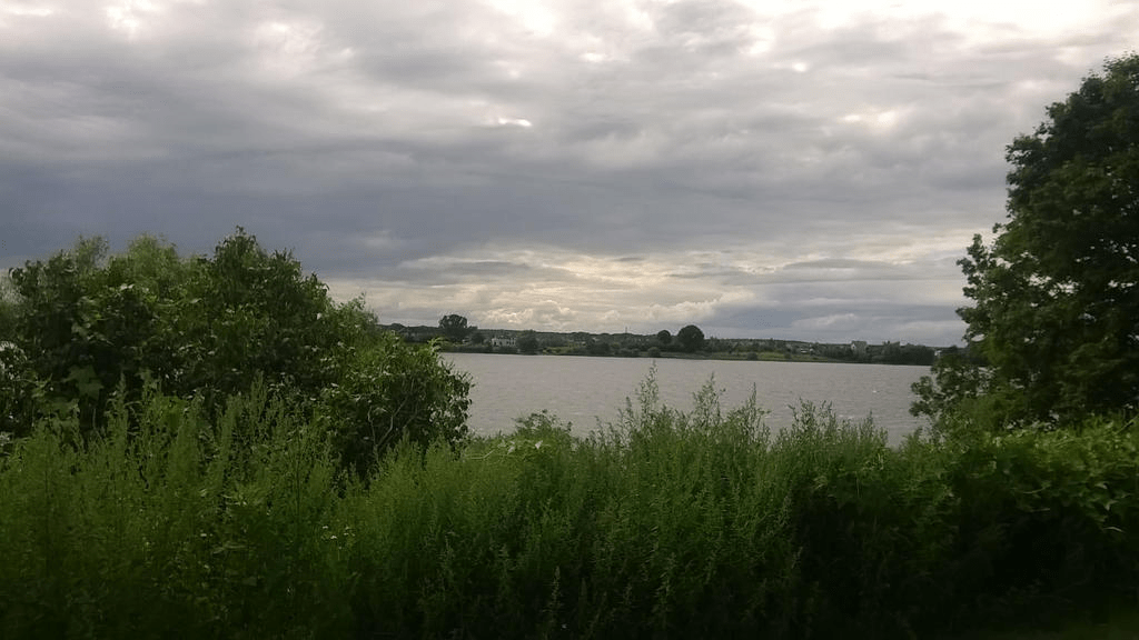 Photo of the Daugava, visible through the tall grass