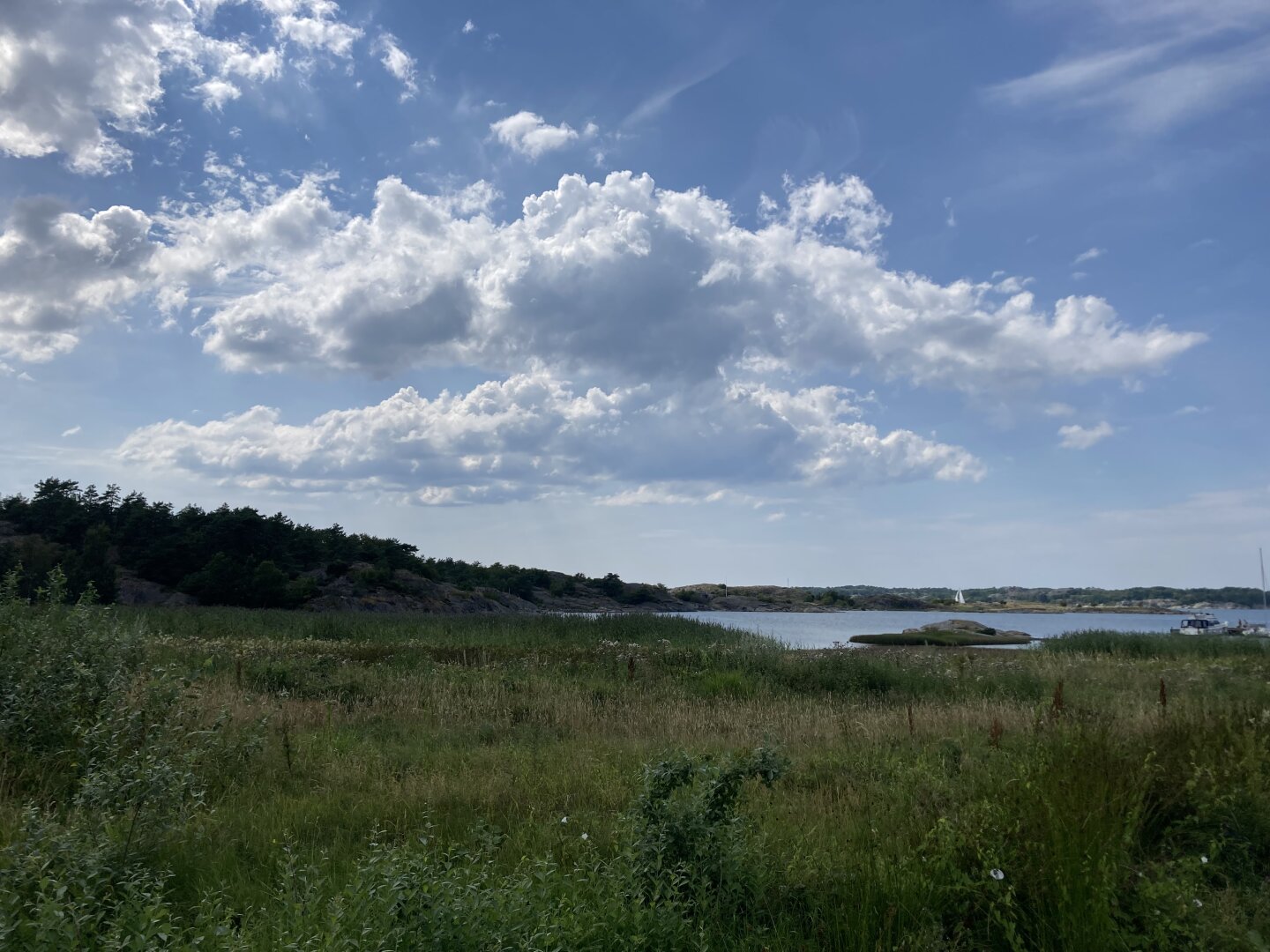 Green landscape near the sea with large white clouds over it