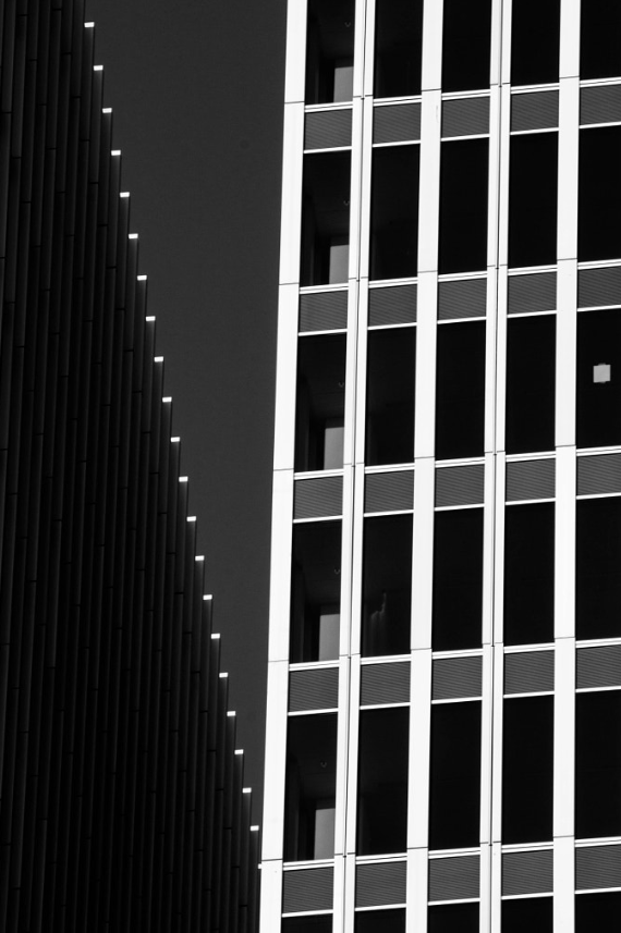 Modern Architecture, Rotterdam