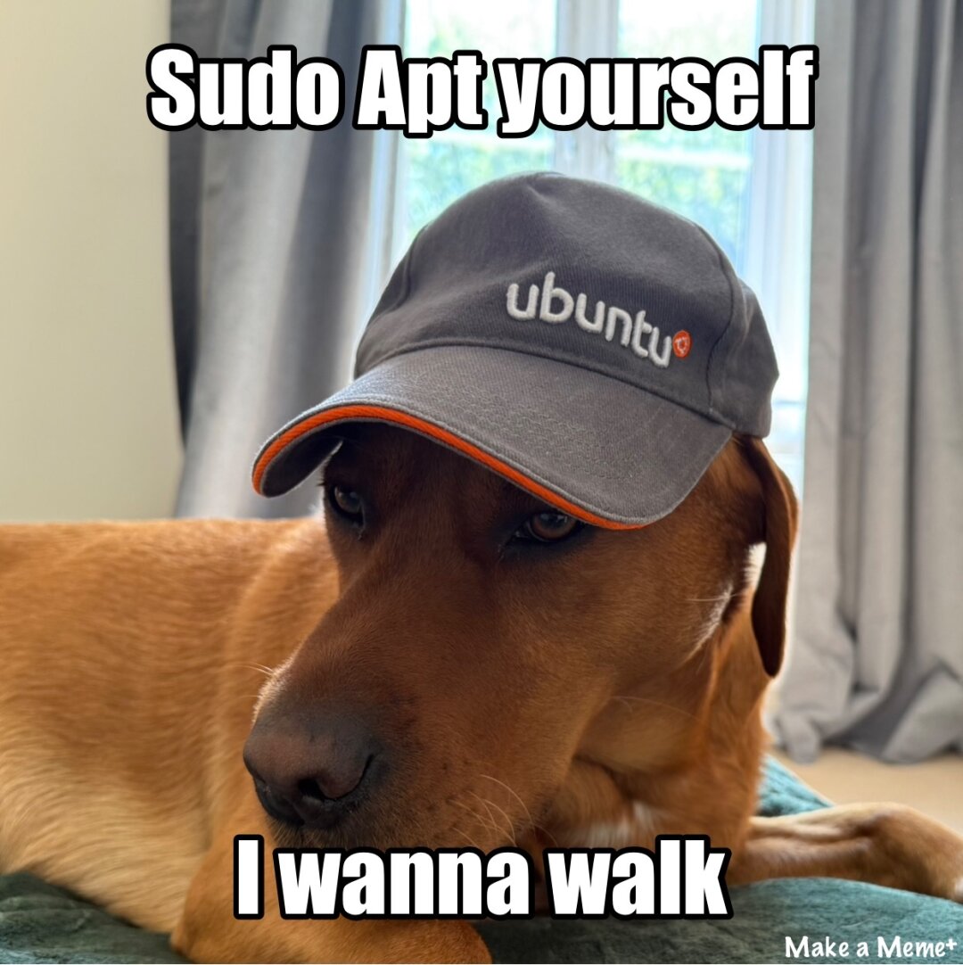 Ted the dog wearing an Ubuntu cap