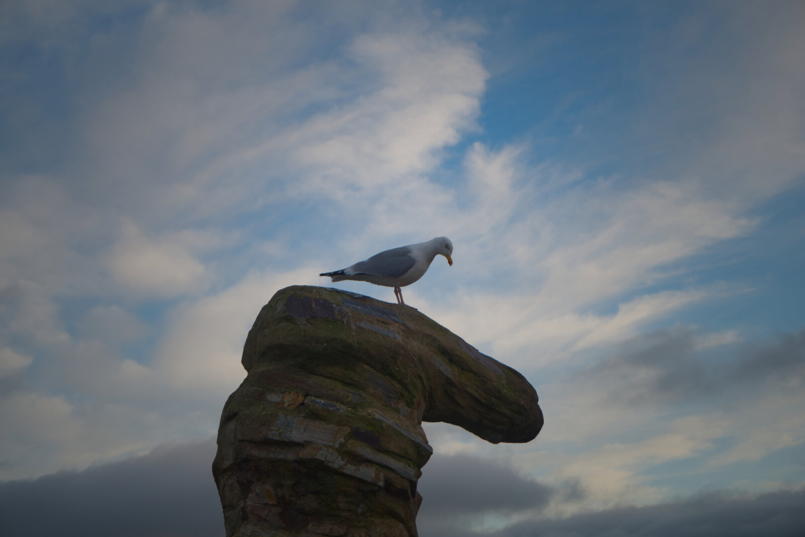 A seagull perched on top of a stone column with a blue sky and fluffy white clouds in the background.