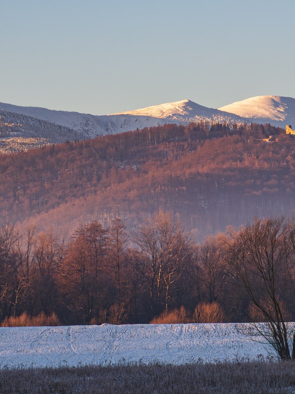 First half of a split photo:
Chojnik Castle ruins on a snow-covered hill with leafless trees, a snow-filled field in the foreground, and the glacial amphitheaters of Śnieżne Kotły behind under a clear blue sky.