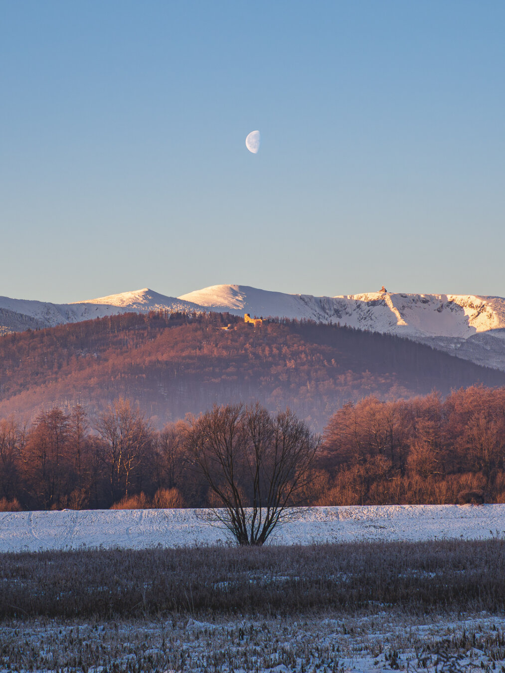 Chojnik Castle ruins on a snow-covered hill with leafless trees, a snow-filled field in the foreground, and the glacial amphitheaters of Śnieżne Kotły behind under a clear blue sky featuring a half moon.
