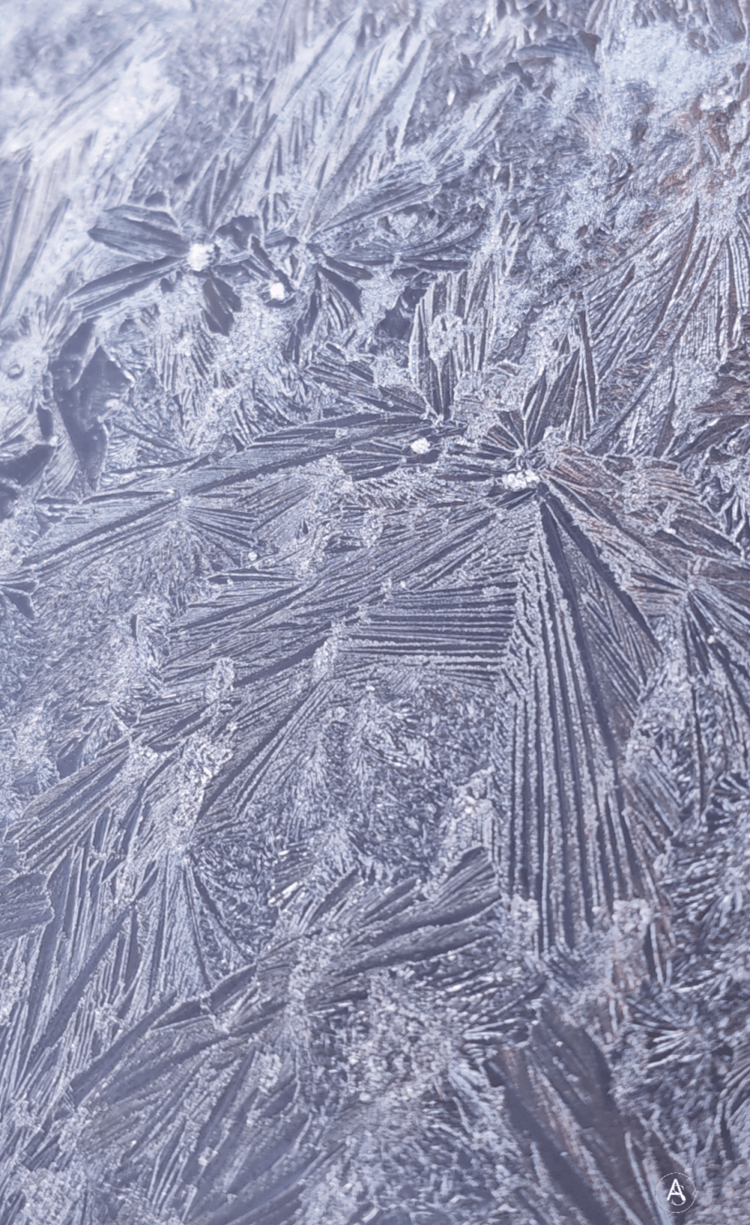 Een close-up foto van ijsbloemen

Ein Close-up Foto von Eisblumen