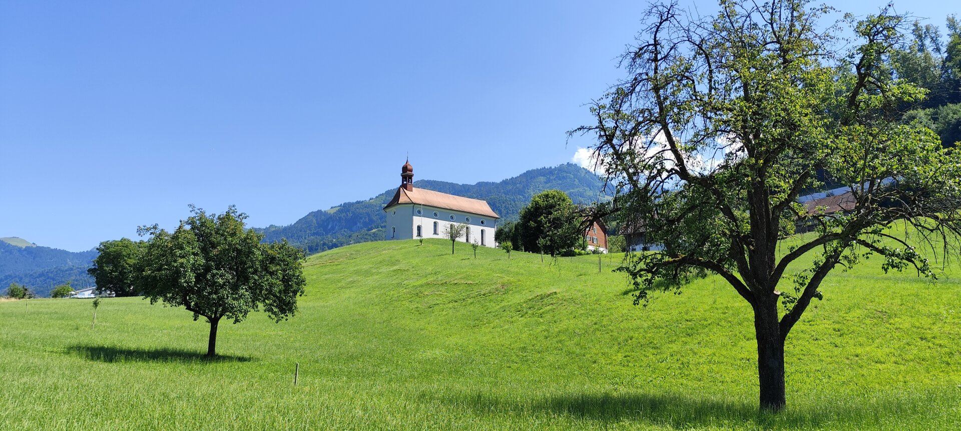 Nature is great 💚

#natur #draußen  #heimat

#wonderful_places #beautifulplaces #instamountain #instaphotography #landscapephotography  #alpine #mountains #mountain #bikelife
#bikers
#mountainsphoto #snowboarding #snowboard
#mountainsphoto #mountainstones  #montagne #montagnes #Alpes #Alpi #gipfelkreuz #croixausommet #beret #random #rando #randonnée #sunrise #montaña #性質
