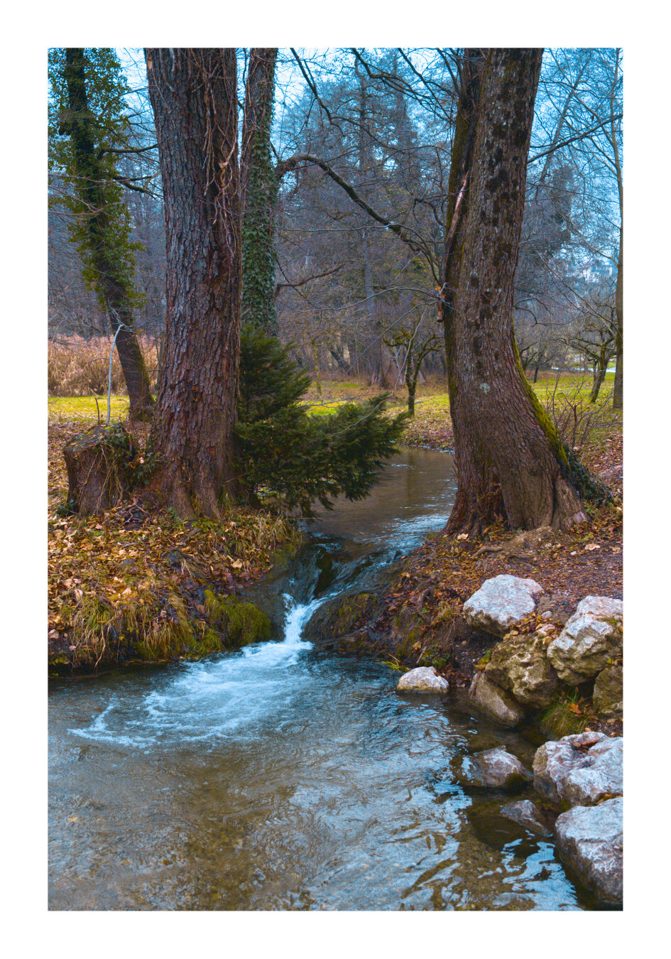 Small creek in Bled, Slovenia