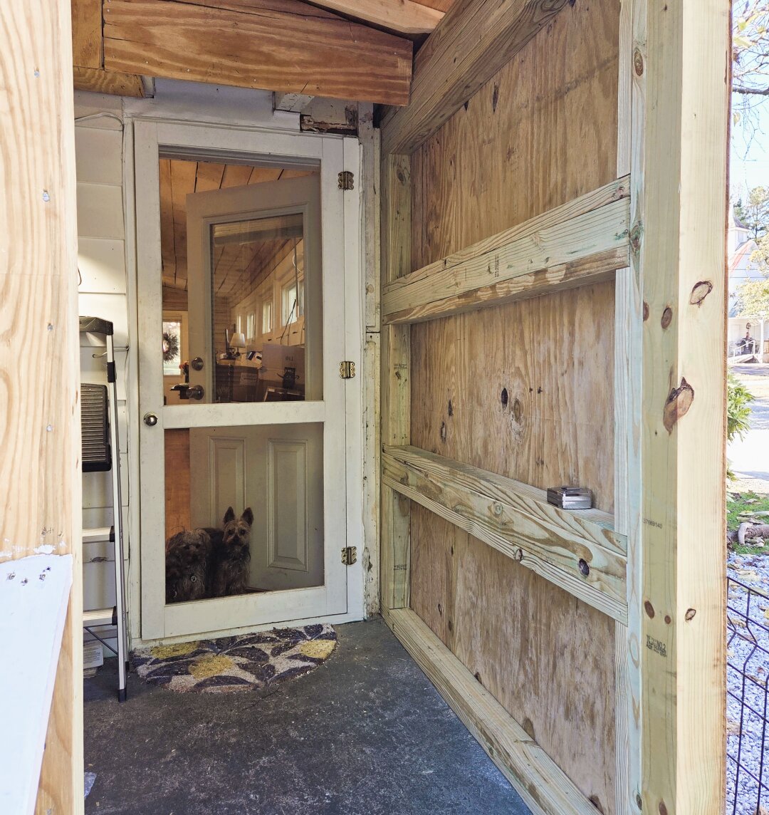 The photo shows a small enclosed porch that has been remodeled into a mudroom. The viewer is standing just inside the new outer doorway, looking toward an older white interior door with a window in its upper half. Two small Yorkies are sitting behind the glass, looking out as if on “patrol.” The interior beyond the door looks warm and cozy, with wood on the ceiling and sunlight coming through windows. The new mudroom walls are unfinished wood, with clean, sturdy framing. A small rug with a floral pattern sits in front of the door, and the floor is plain concrete.