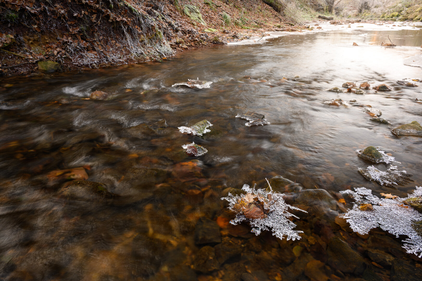 Ein Bachlauf im Gegenlicht