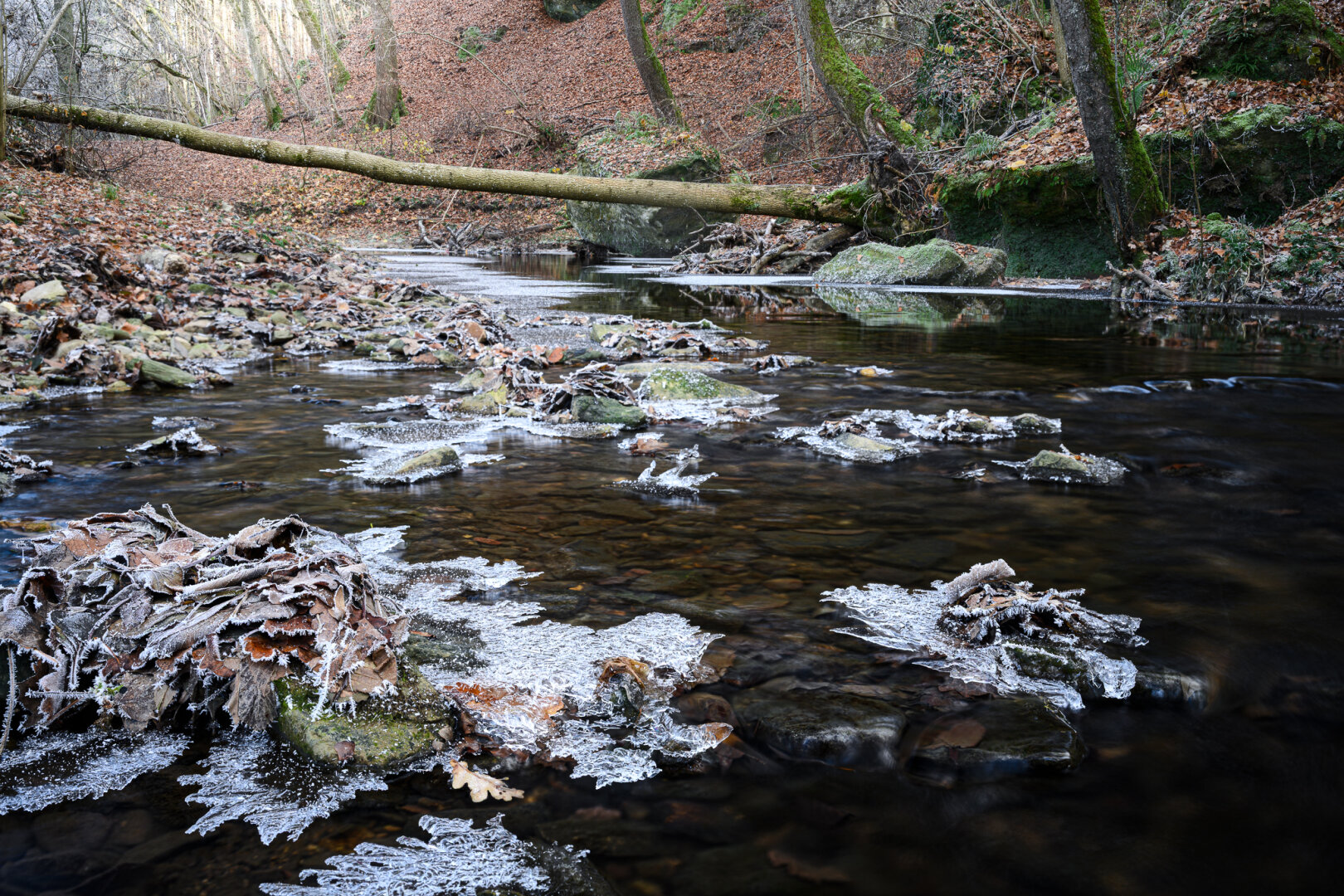 Bach über dem ein Baumstamm liegt.