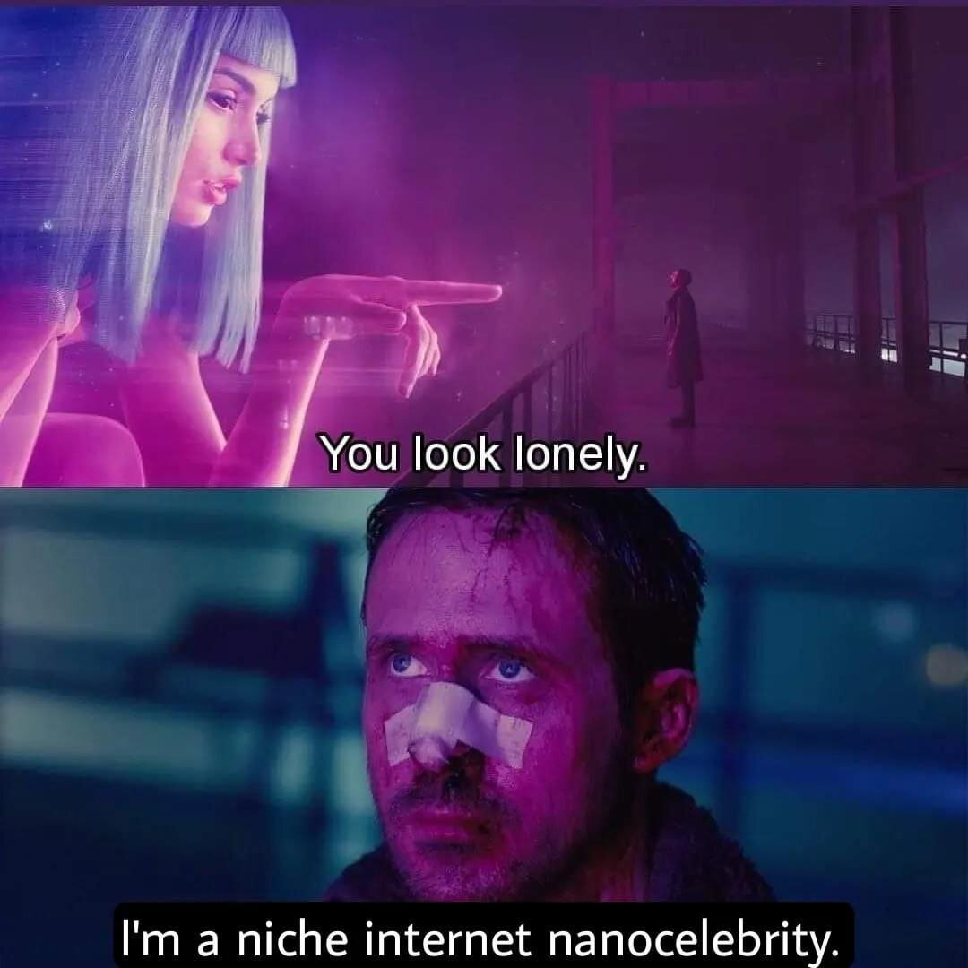 It's a meme.
A girl : "you look lonely"
A man : "I'm a niche internet nanocelebrity"