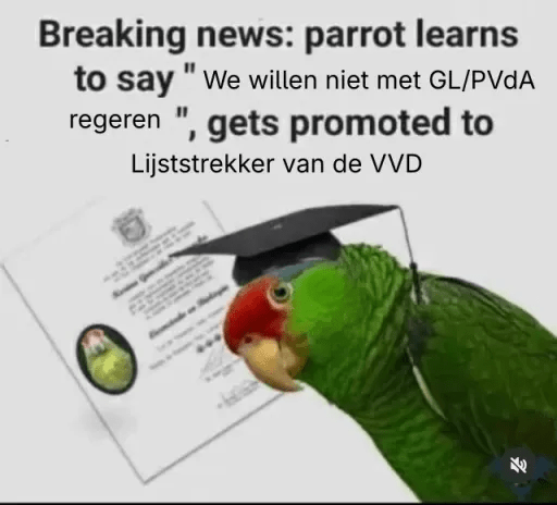 Breaking news: parrot learnt to say "we willen niet met GL/PvdA regeren", gets promoted to Lijsttrekker van de VVD