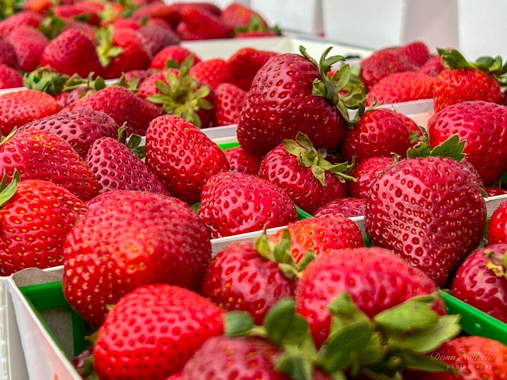 Morning at the Farmers Market.