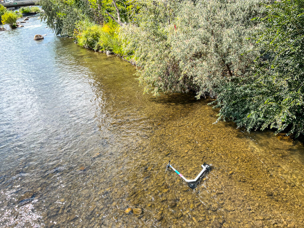A Bird Scooter in the river.