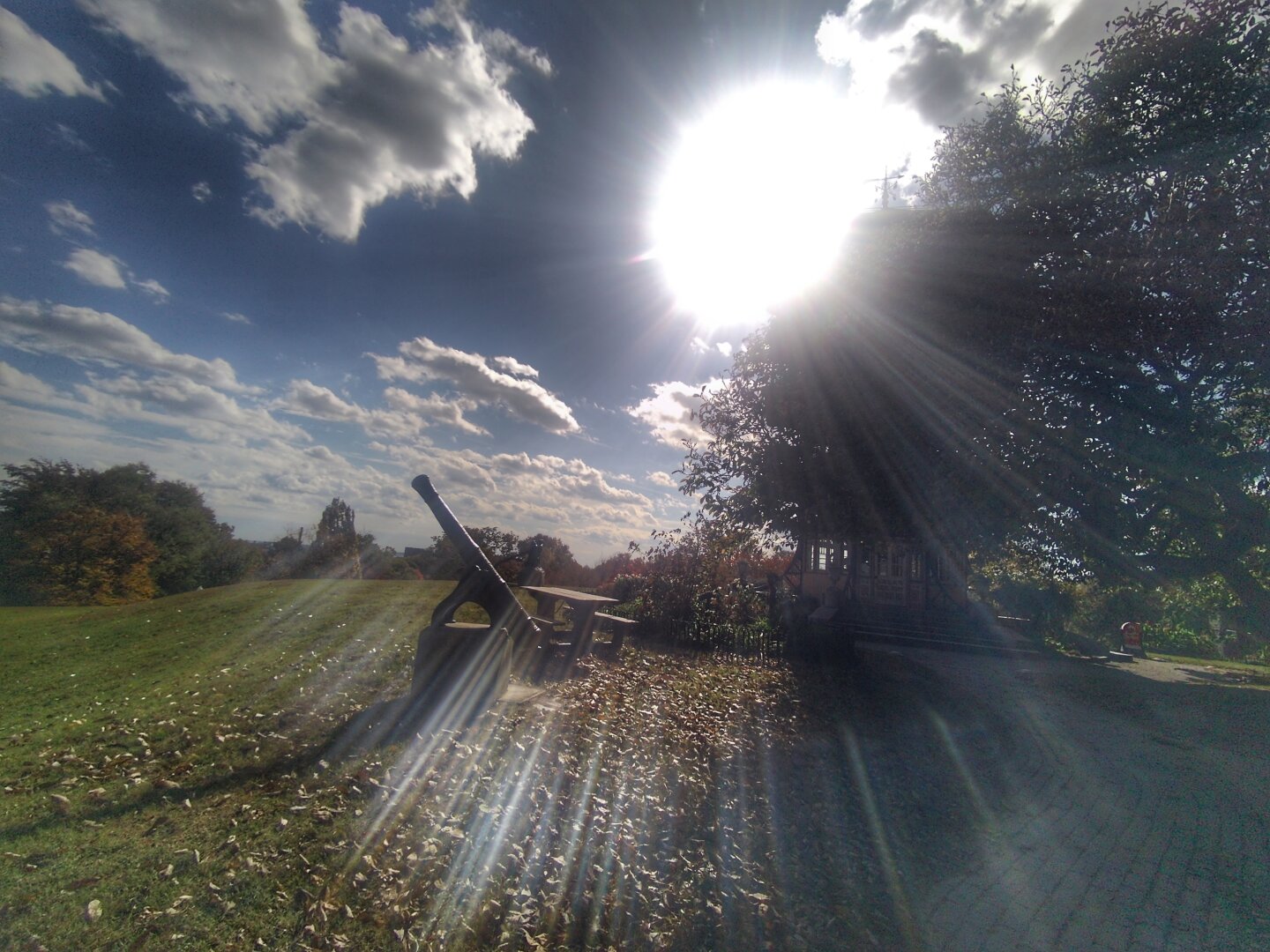 Patterson Park in Baltimore. The sun is shining above and through a tree as the well manicured grass highlights a canon in the center of the landscape.