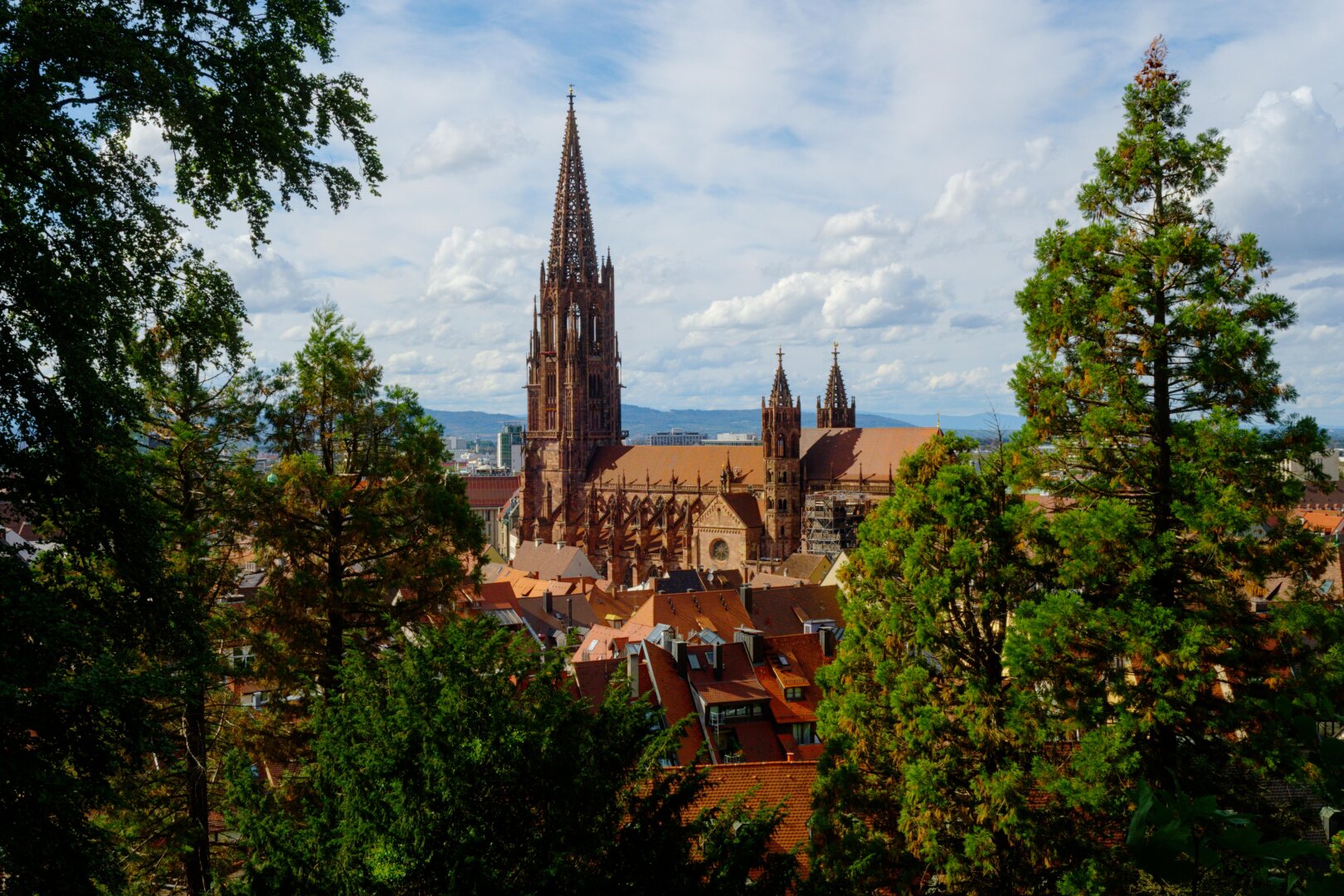 Freiburg Minster, framed by trees.