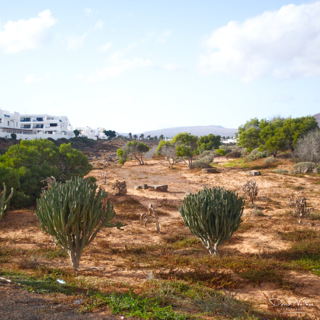 A rambla, or seasonal stream, creek or drainage channel, at Costa Teguise, Lanzarote