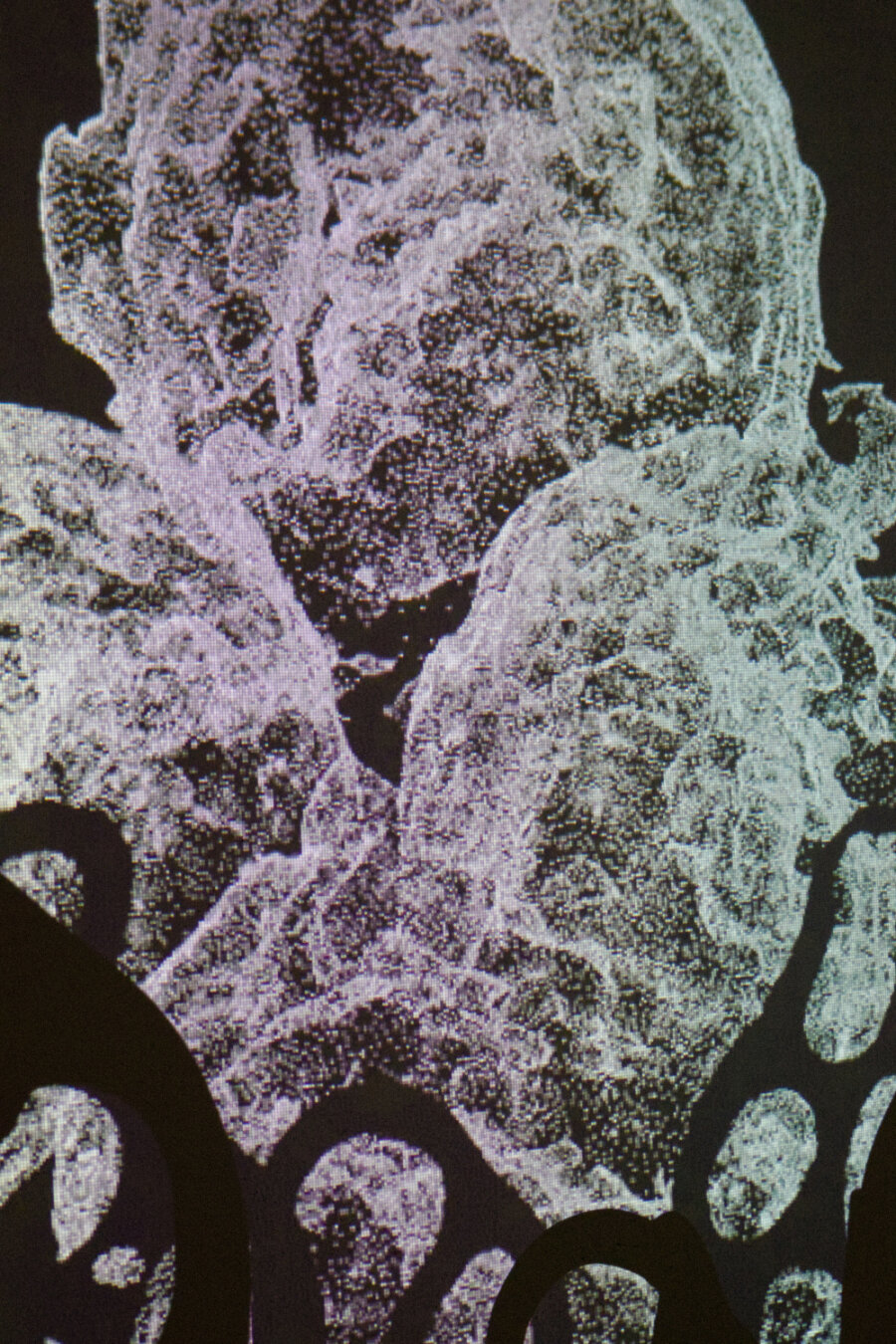 projection d'une forme 3D blanche en points