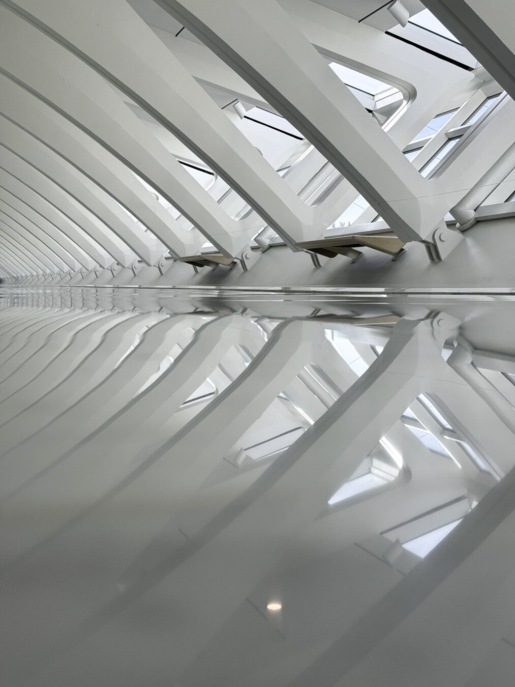 Reflections in polished white floor