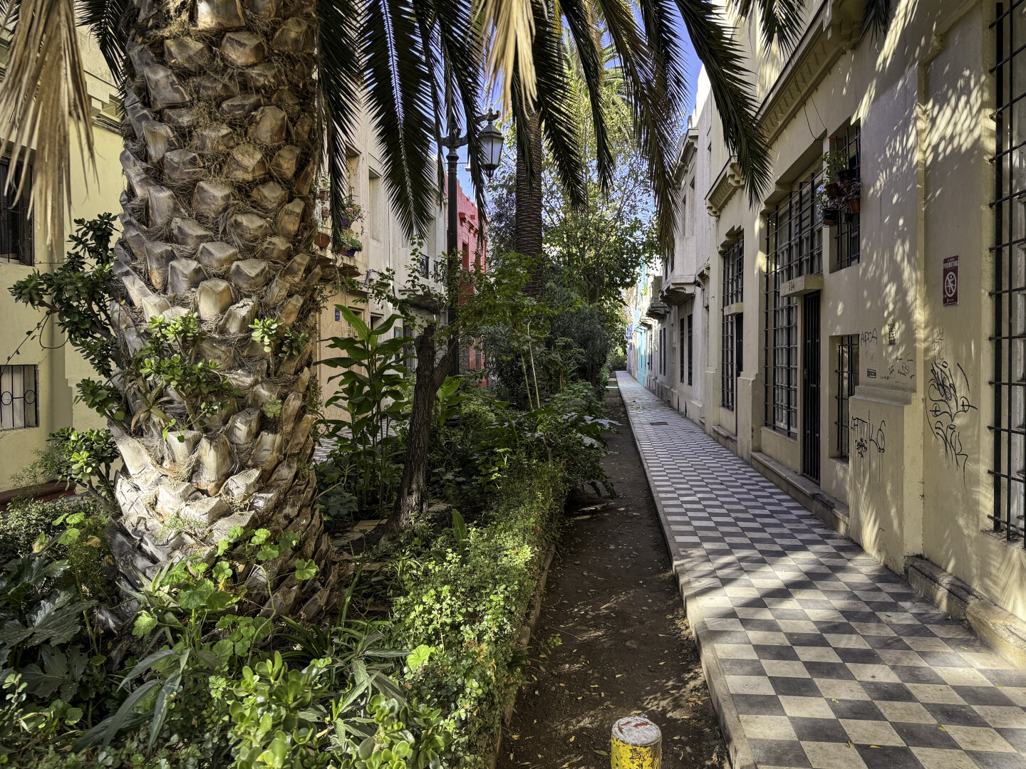 Narrow residential alley with lush landscaping and black and white sidewalk tiles