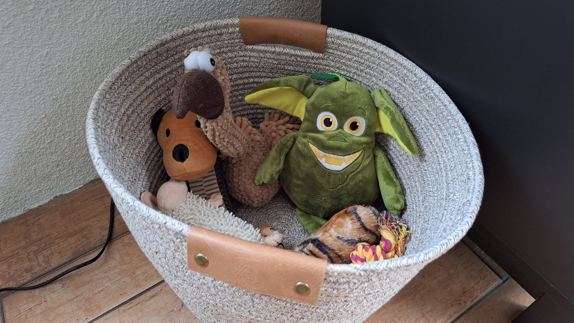 Man's vol honderspeelgoed