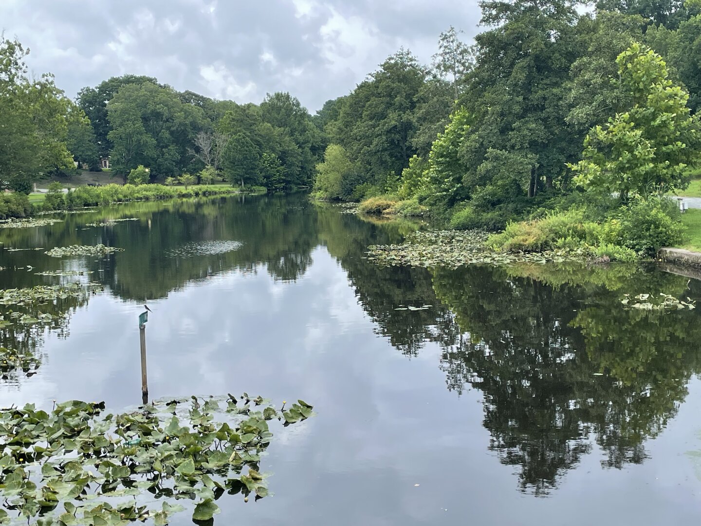 A landscape photo of a lake with many large trees and greenery in the background that are clearly reflected in the water.