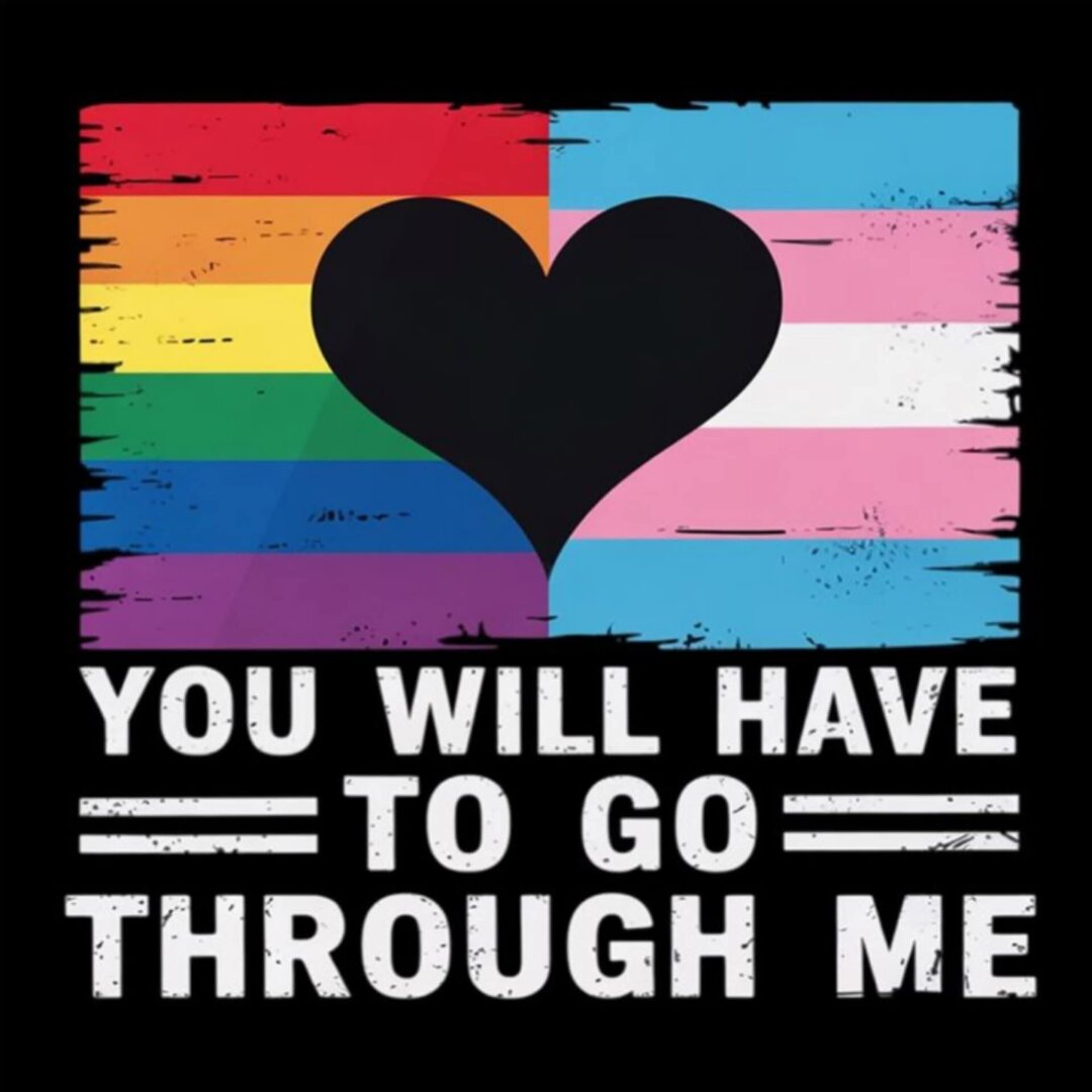 A rainbow flag and a transgender flag with a heart in between, captioned "You will have to go through me"