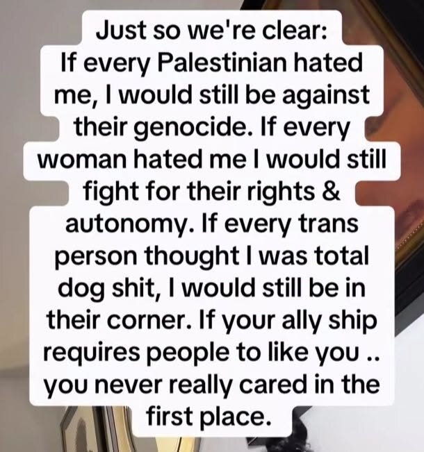 Just so we're clear: if every Palestinian hated me, I would still be against their genocide. If every woman hated me I would still fight for their rights and autonomy. If every trans person thought I was total dog shit, I would still be in their corner. If your ally ship requires people to like you, you never really cared in the first place.