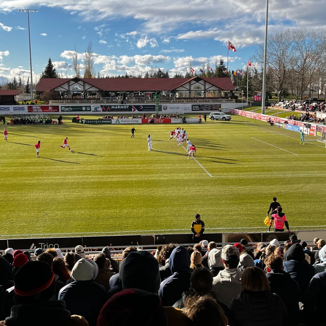 A soccer game underway on a sunny day with spectators watching from the stands . Players are fighting for control near the goal.