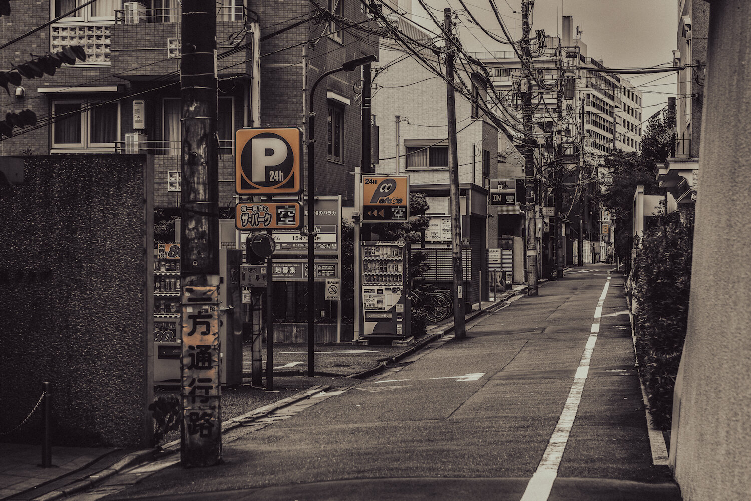 A narrow one-way Japanese side street stretches into the distance, bordered by overhead utility cables and yellow parking signs. The desaturated tones cast a quiet, poetic atmosphere over the dense residential architecture, transforming everyday urban signposts into a subtle labyrinth of rhythm and geometry.