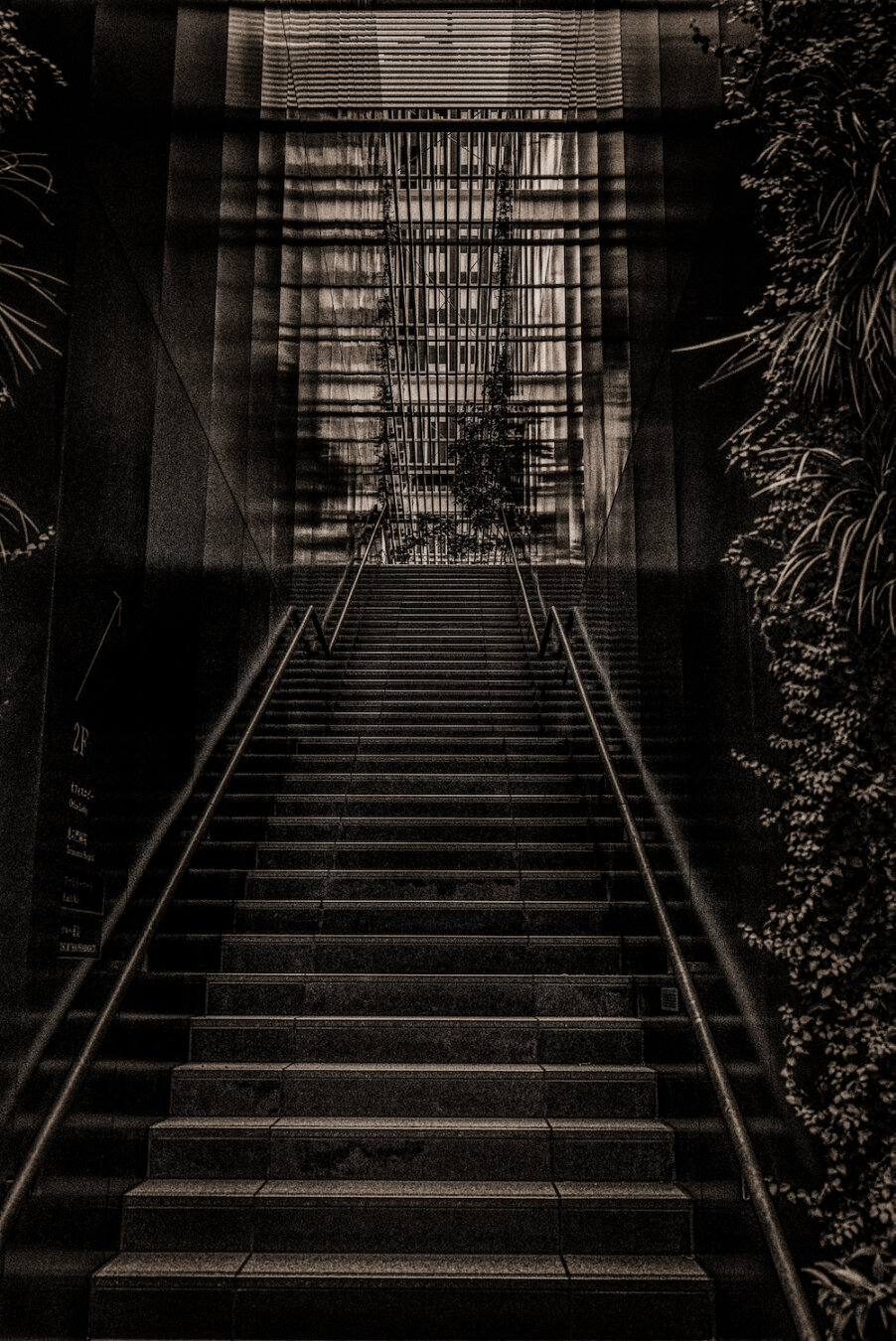 A long, symmetrical stone staircase leads upward between dark walls toward a small, sunlit pocket garden at the top. Lush greenery frames the right side, while subtle reflections on glass panels guide the eye along the quiet, ascending passage toward the peaceful green sanctuary above.