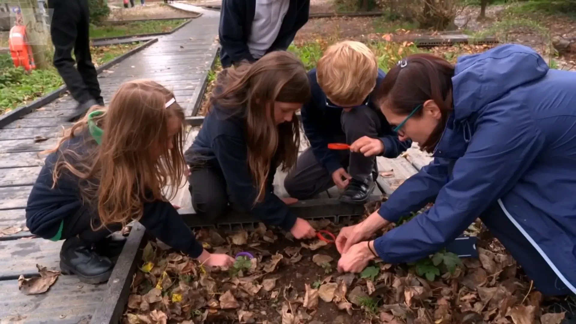Screenshot of adult and children bent over edge of walkway looking at ground