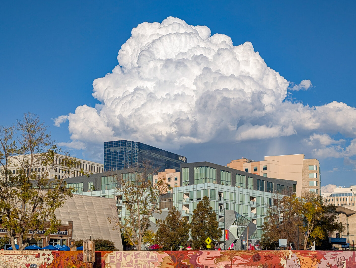 A cumulus cloud towering over buildings