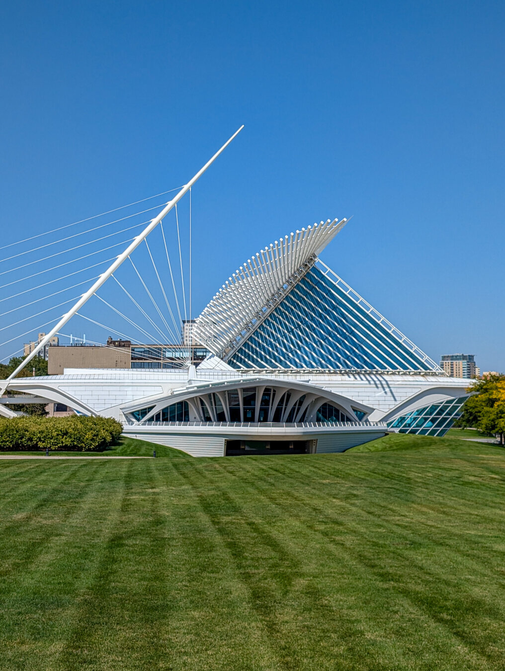 View of the Milwaukee Art Museum with a grassy field in the foreground