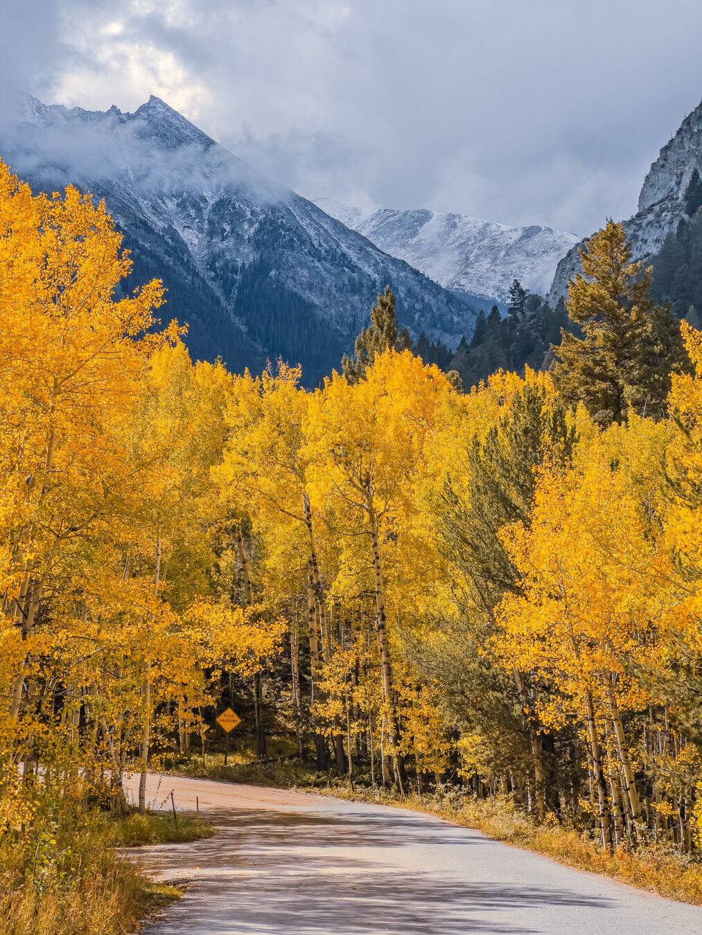 Golden aspen-lined road with a moody mountain peak in the background