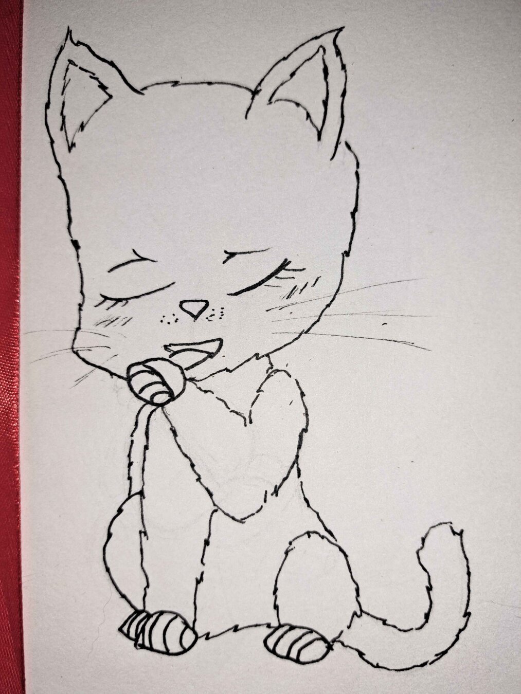 Cat grooming its paw