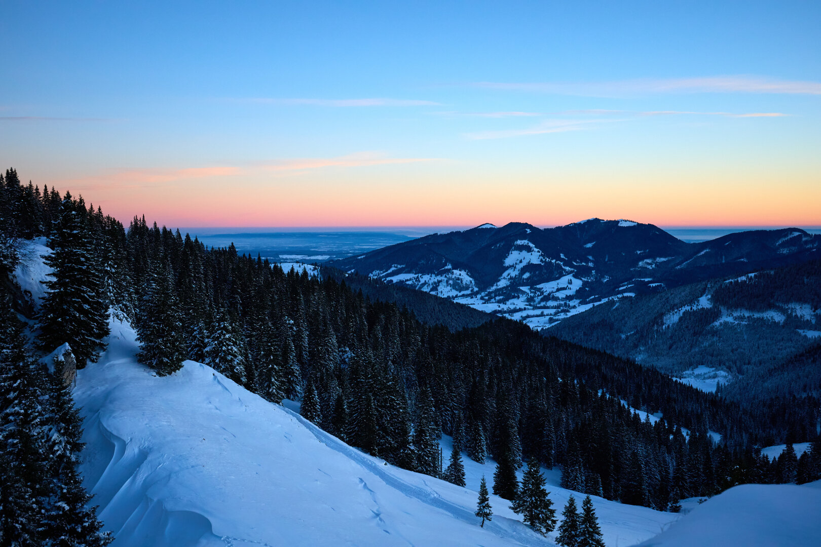 A mountain slope with trees scattered ontop and a lot of snow at dawn.