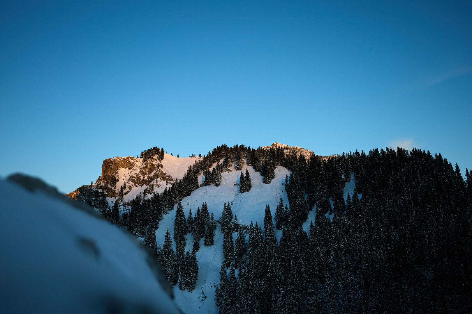 A mountain covered with snow and trees being lit up by the dawn.