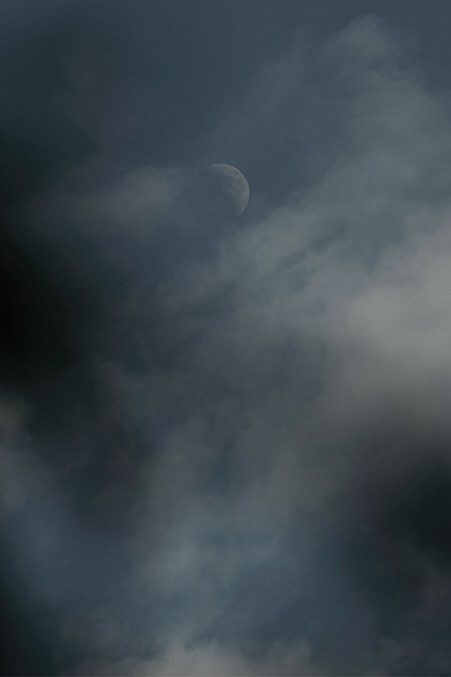 Half Moon in the evening, hidden behind leaves.