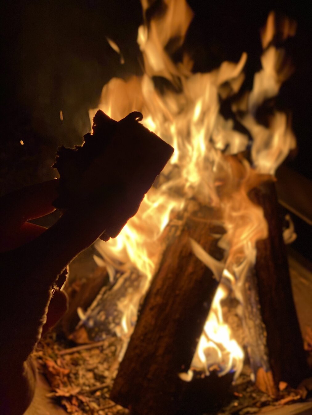 An orange raging bonfire is in the background. The silhouette of a hand holding a half eaten s’more treat is in the foreground