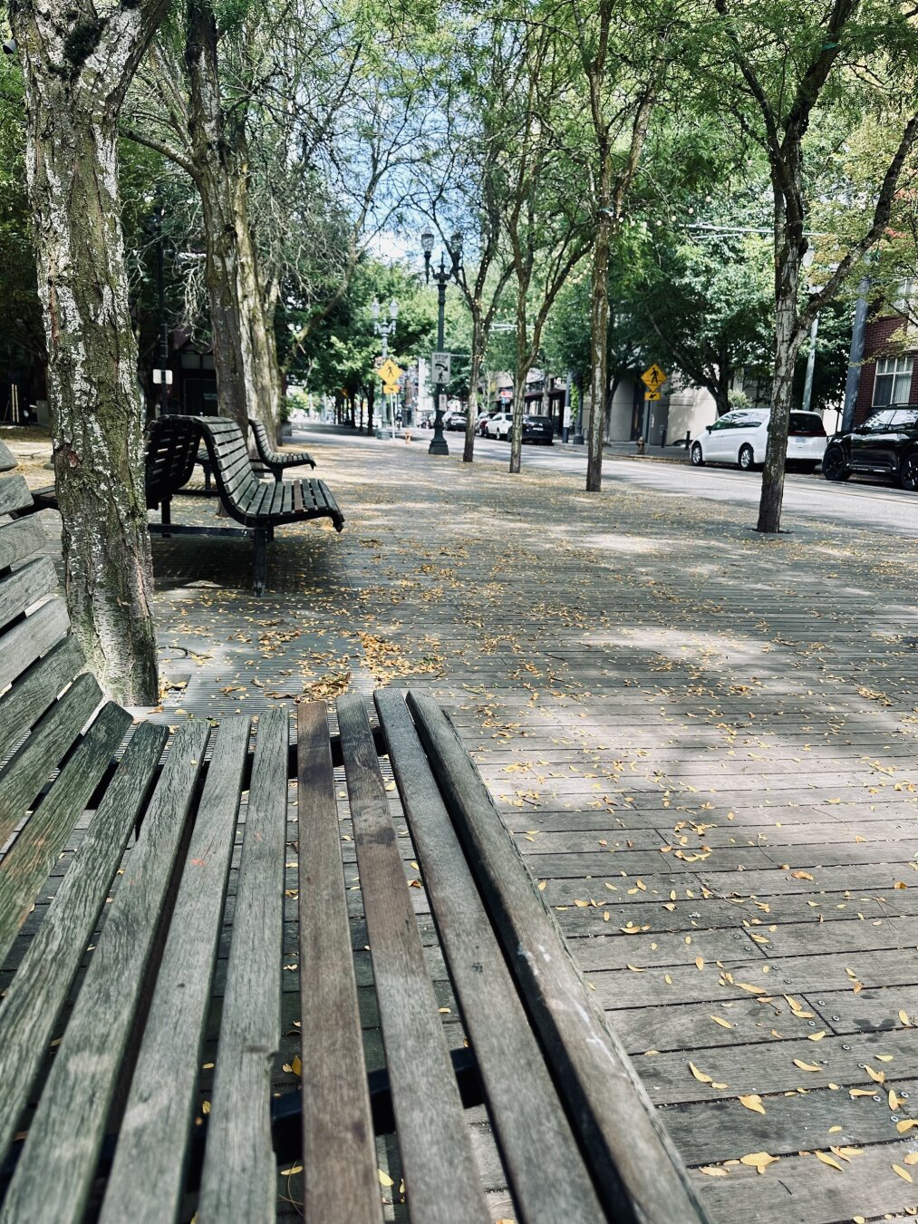 Line of park benches on stone walkway. Trees over head. Two yellow signs in distance.