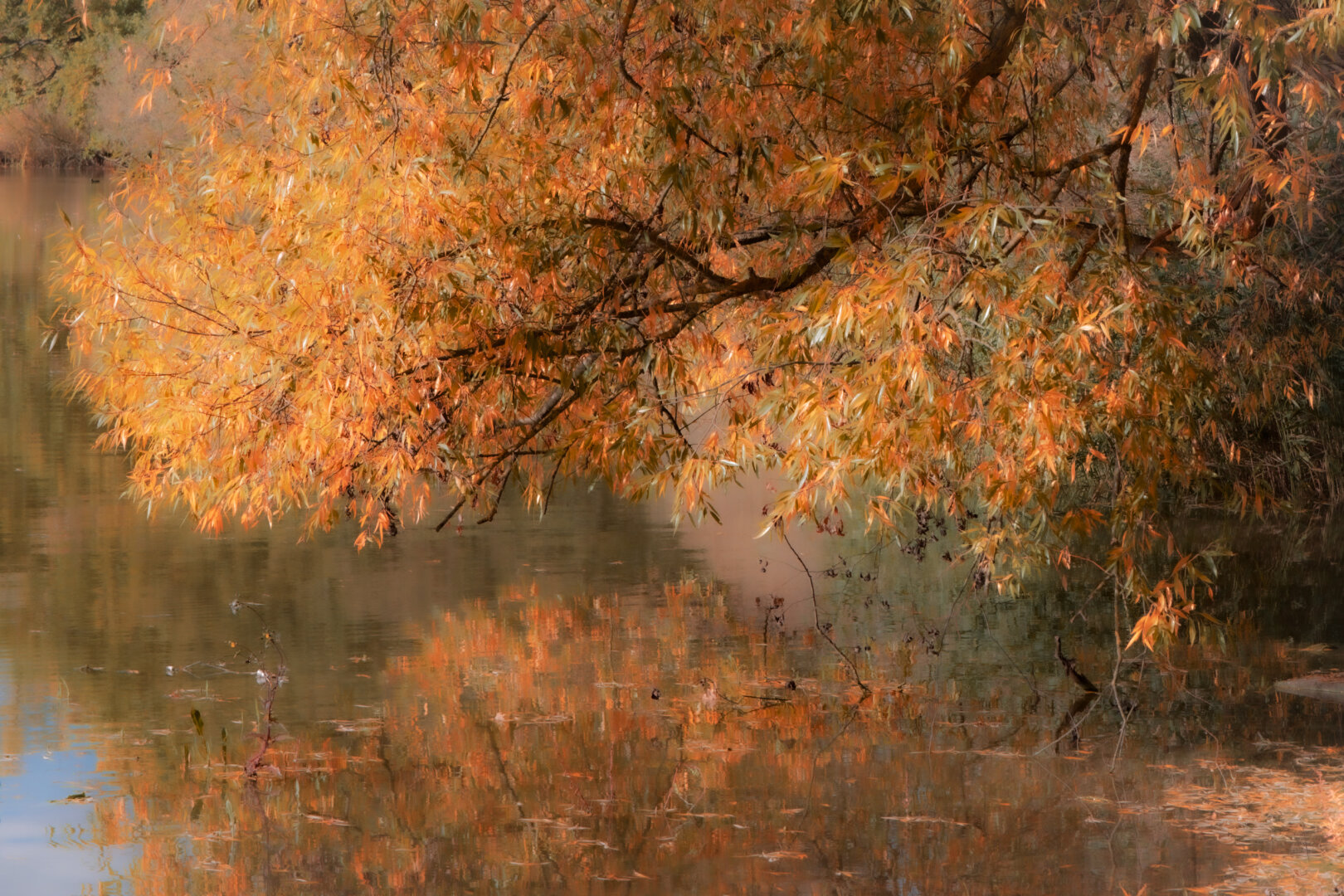 #autumn #dechsi #franconia #erlangen