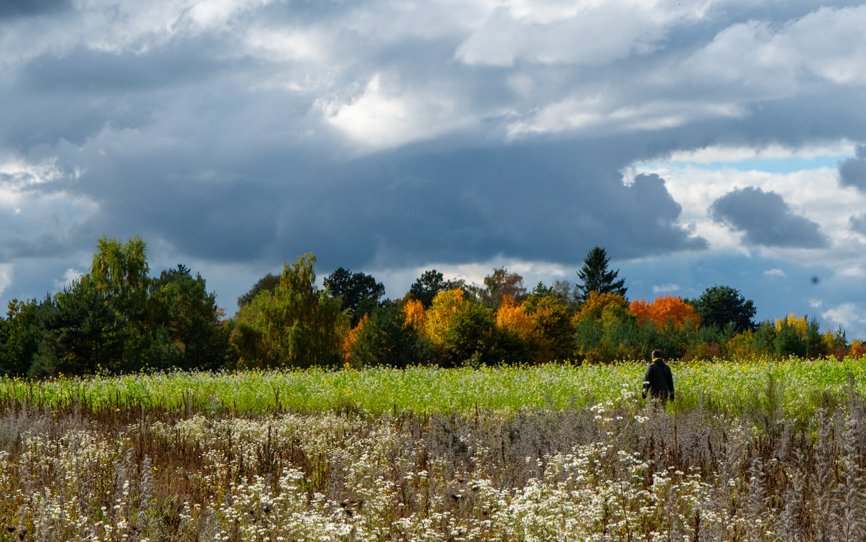 #autumn #dechsi #franconia #erlangen