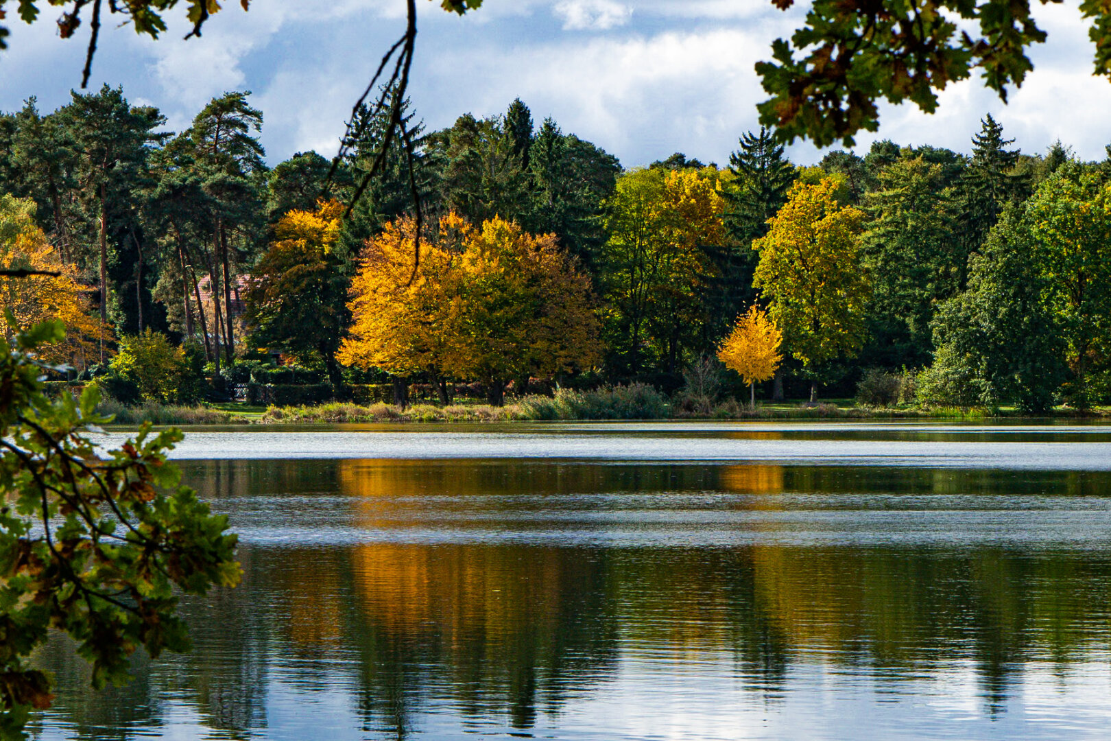 #autumn #dechsi #franconia #erlangen