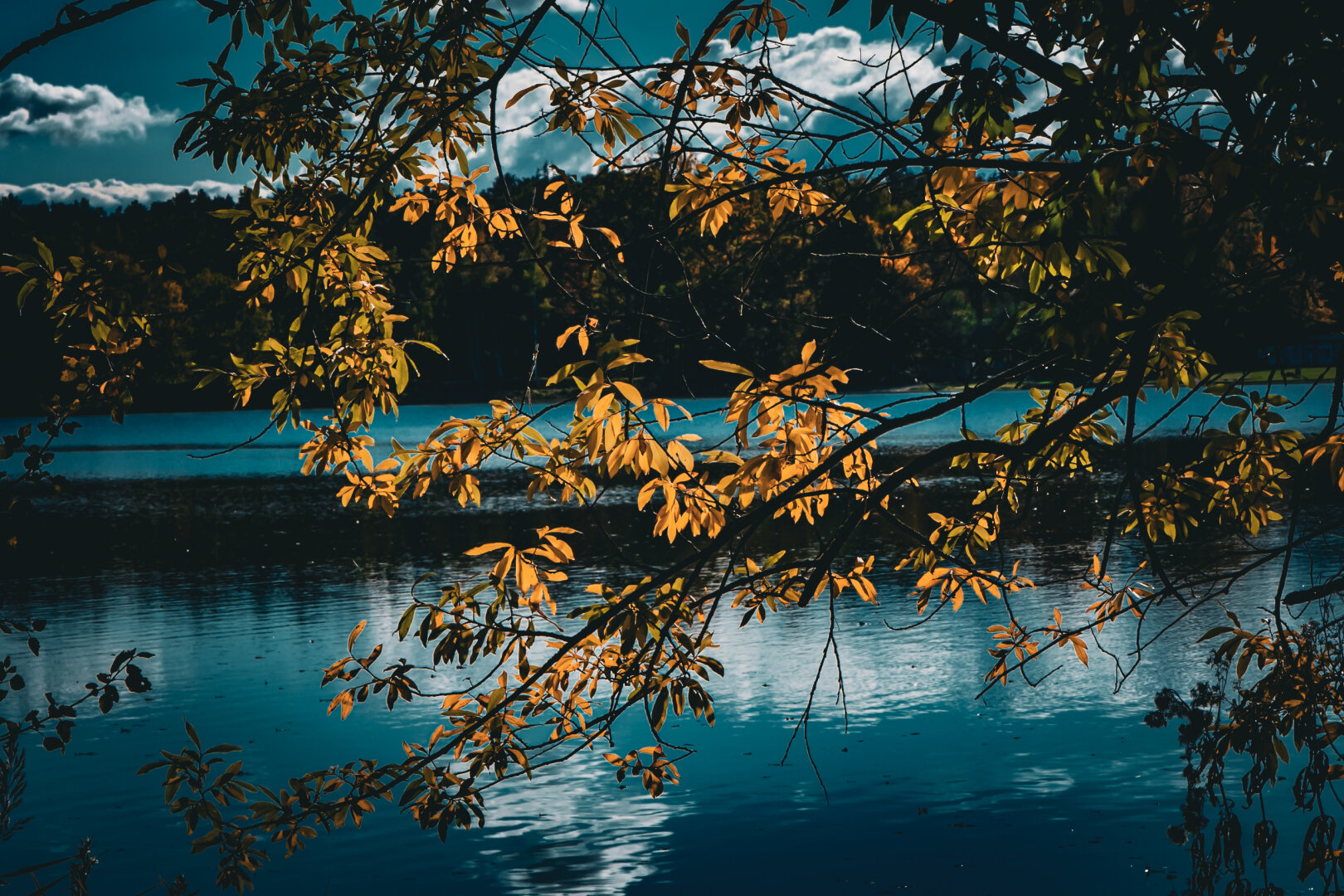 #autumn #dechsi #franconia #erlangen