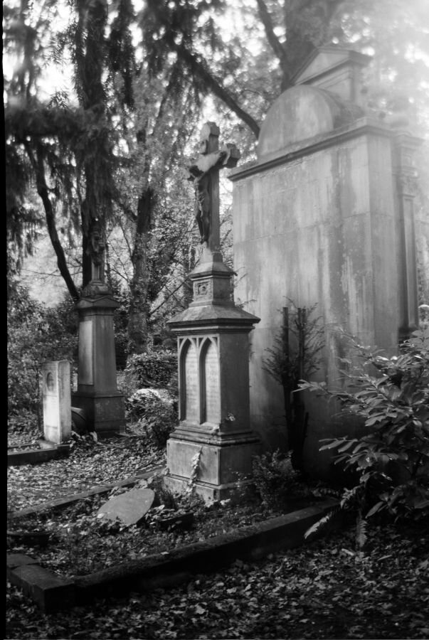 A Gothic memorial with a crucifix above two tablets with Gothic arches. The grave and those around it are overgrown and covered n dead leaves. The trees at the edges of the photo form hazy smears and the whole thing is like looking into someone's memories.
