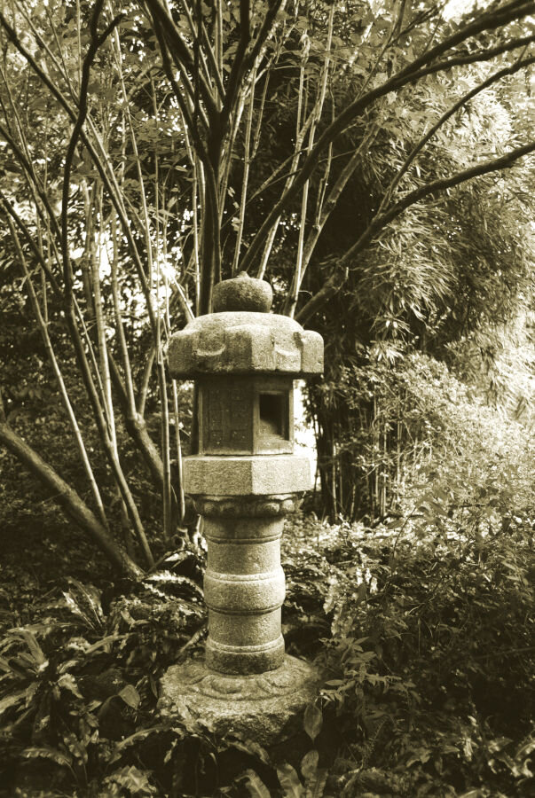 A carved stone lantern sits among bamboo, Japanese maple, and other exotic plants.